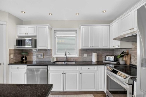 3271 Douglasdale Boulevard Se, Calgary, AB - Indoor Photo Showing Kitchen With Double Sink With Upgraded Kitchen