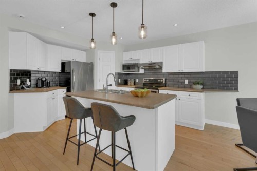 74 Douglasview Circle Se, Calgary, AB 