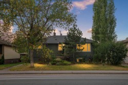 527 29 Street NW Calgary, AB T2N 2T4