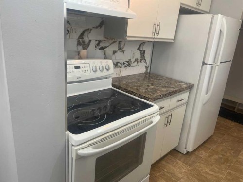 203-21 Dover Point Se, Calgary, AB 