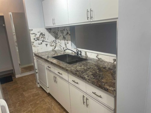 203-21 Dover Point Se, Calgary, AB 