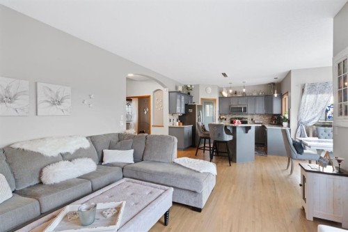 16 Bow Ridge Drive, Cochrane, AB - Indoor Photo Showing Living Room