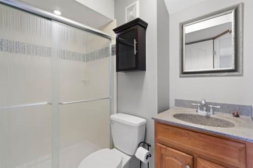 16 Bow Ridge Drive, Cochrane, AB - Indoor Photo Showing Bathroom