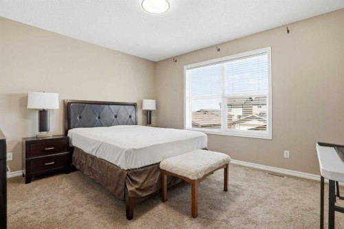 267 Skyview Springs Gardens Ne, Calgary, AB 