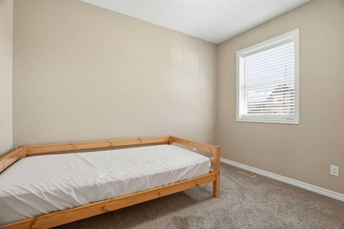 267 Skyview Springs Gardens Ne, Calgary, AB 