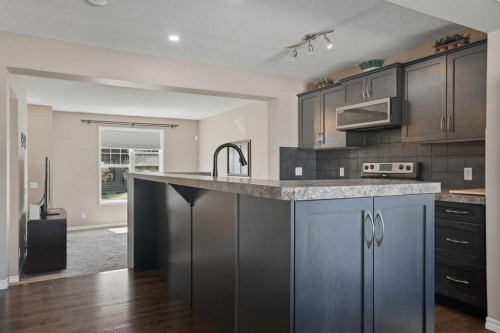 267 Skyview Springs Gardens Ne, Calgary, AB 