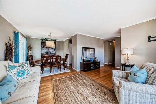 85 Rideau Close Sw, Airdrie, AB - Indoor Photo Showing Living Room