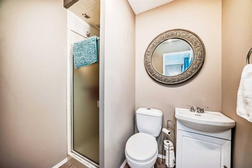 85 Rideau Close Sw, Airdrie, AB - Indoor Photo Showing Bathroom