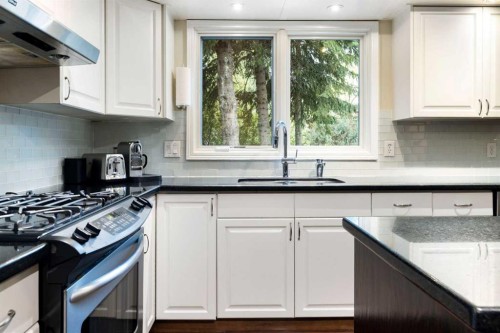 111 Lake Mead Place Se, Calgary, AB - Indoor Photo Showing Kitchen