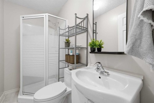 91 Bridleridge Crescent Sw, Calgary, AB - Indoor Photo Showing Bathroom