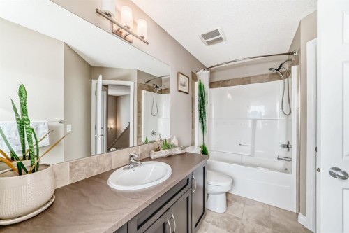 10 Reunion Grove Nw, Airdrie, AB - Indoor Photo Showing Bathroom