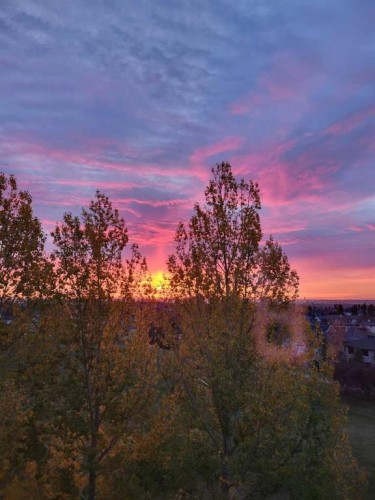 70 Panamount Road Nw, Calgary, AB 