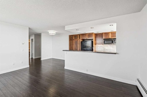 701-2909 17 Avenue Sw, Calgary, AB - Indoor Photo Showing Kitchen