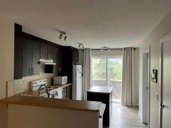 303-2445 Kingsland Road SEAirdrie, AB T4A 0B4