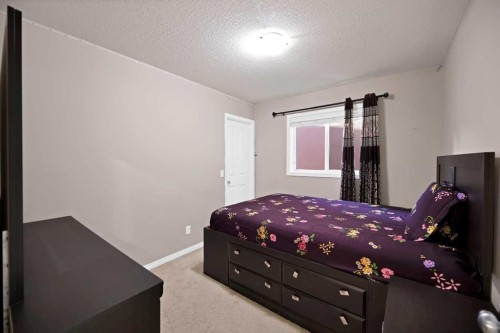 44 Skyview Shores Link Ne, Calgary, AB 