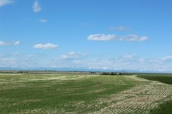 RR 262 Rural Vulcan County, AB T0L 0L0