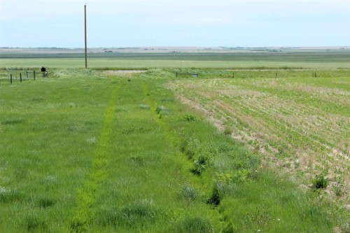 Rr 262, Rural Vulcan County, AB 