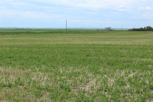Rr 262, Rural Vulcan County, AB 