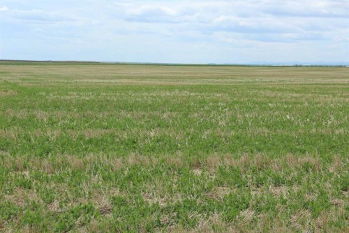 Rr 262, Rural Vulcan County, AB 
