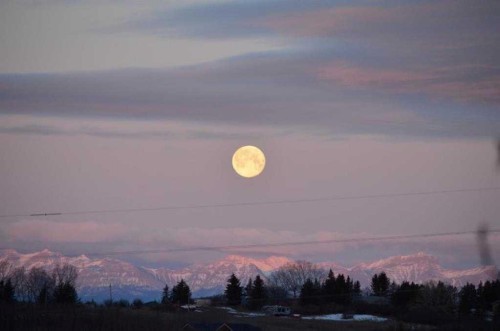76 Rockywood Park Nw, Calgary, AB 