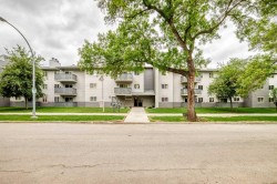 305-10838 108 Street NW Edmonton, AB T5H 3A6