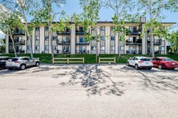 4206-385 Patterson Hill SW Calgary, AB T3H 2P3