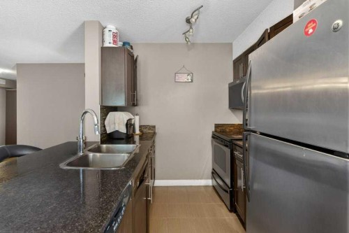 225-7210 80 Avenue Ne, Calgary, AB - Indoor Photo Showing Kitchen With Double Sink
