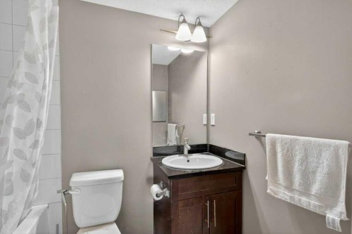 225-7210 80 Avenue Ne, Calgary, AB - Indoor Photo Showing Bathroom
