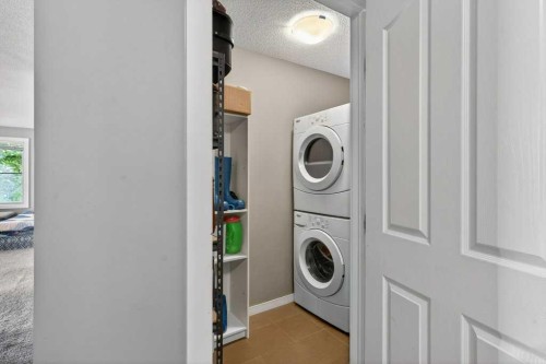 225-7210 80 Avenue Ne, Calgary, AB - Indoor Photo Showing Laundry Room