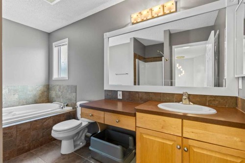 103 Copperfield Heights Se, Calgary, AB 