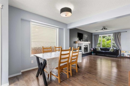 103 Copperfield Heights Se, Calgary, AB 
