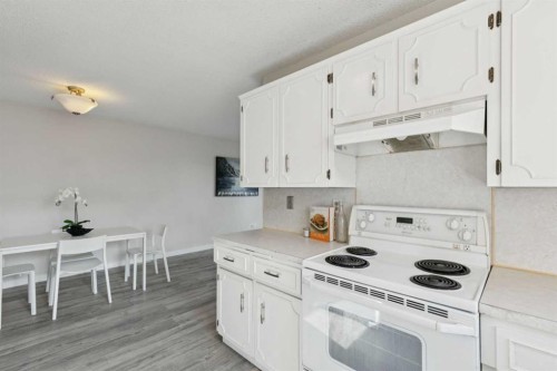 1121 Berkley Drive Nw, Calgary, AB - Indoor Photo Showing Kitchen