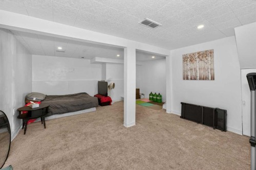 10 Falconer Terrace Ne, Calgary, AB 