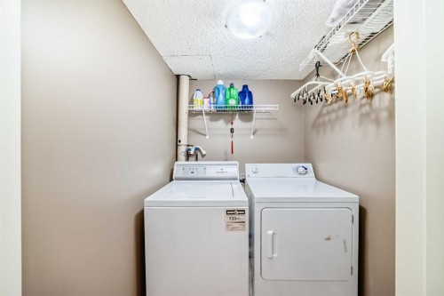 173 Eversyde Common Sw, Calgary, AB - Indoor Photo Showing Laundry Room