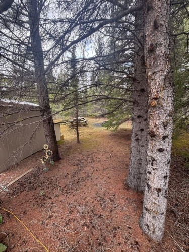 32351 Range Road 55, Rural Mountain View County, AB 