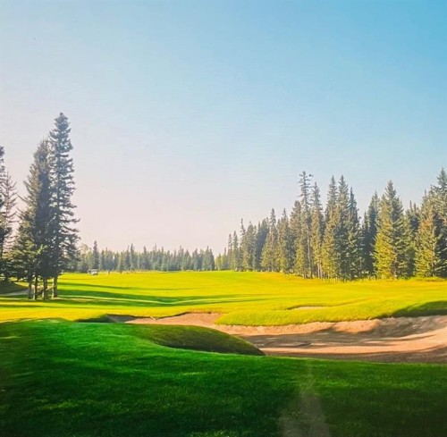 32351 Range Road 55, Rural Mountain View County, AB 