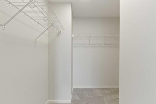 53 Snowberry Common Se, Calgary, AB 