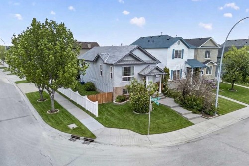 171 Saddlemont Crescent Ne, Calgary, AB 