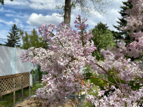 1019 Lysander Drive Se, Calgary, AB 