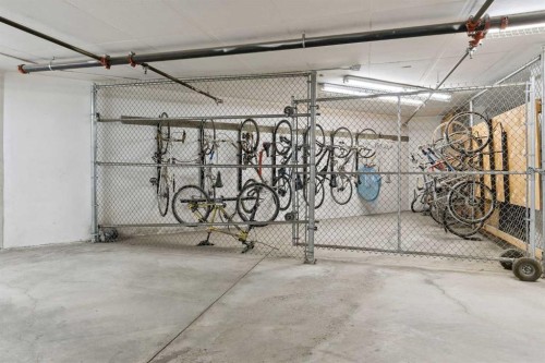 302-2505 17 Avenue Sw, Calgary, AB - Indoor Photo Showing Garage
