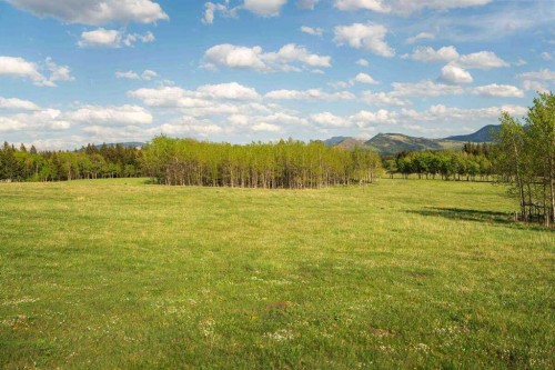 3019 Tecumseh Road, Rural Crowsnest Pass, AB 
