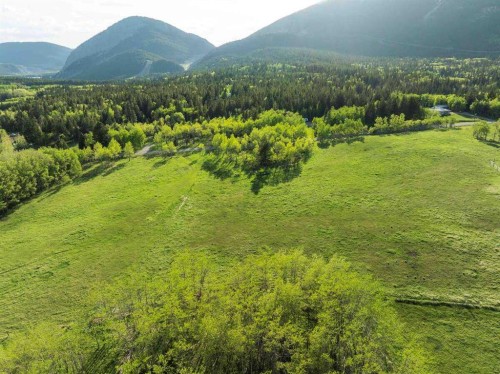 3019 Tecumseh Road, Rural Crowsnest Pass, AB 