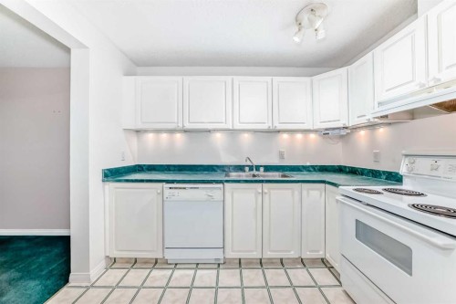 3301-393 Patterson Hill Sw, Calgary, AB - Indoor Photo Showing Kitchen With Double Sink