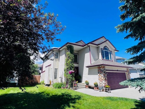 251 Lakeview Cove, Chestermere, AB - Outdoor