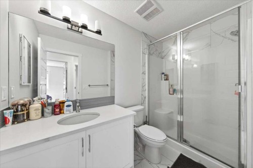 44 Saddlestone Way Ne, Calgary, AB - Indoor Photo Showing Bathroom