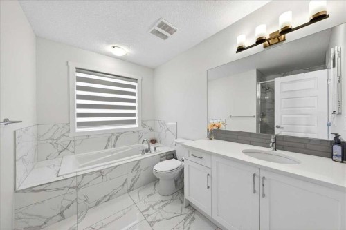 44 Saddlestone Way Ne, Calgary, AB - Indoor Photo Showing Bathroom