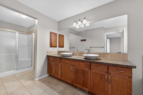 52 Reunion Close Nw, Airdrie, AB - Indoor Photo Showing Bathroom
