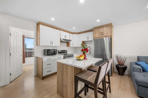 123 Radley Place Se, Calgary, AB - Indoor Photo Showing Kitchen With Stainless Steel Kitchen