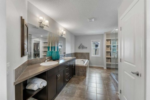 347 Hillcrest Heights Sw, Airdrie, AB - Indoor Photo Showing Bathroom