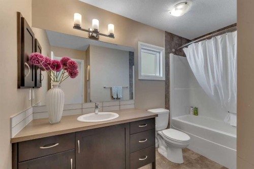 347 Hillcrest Heights Sw, Airdrie, AB - Indoor Photo Showing Bathroom